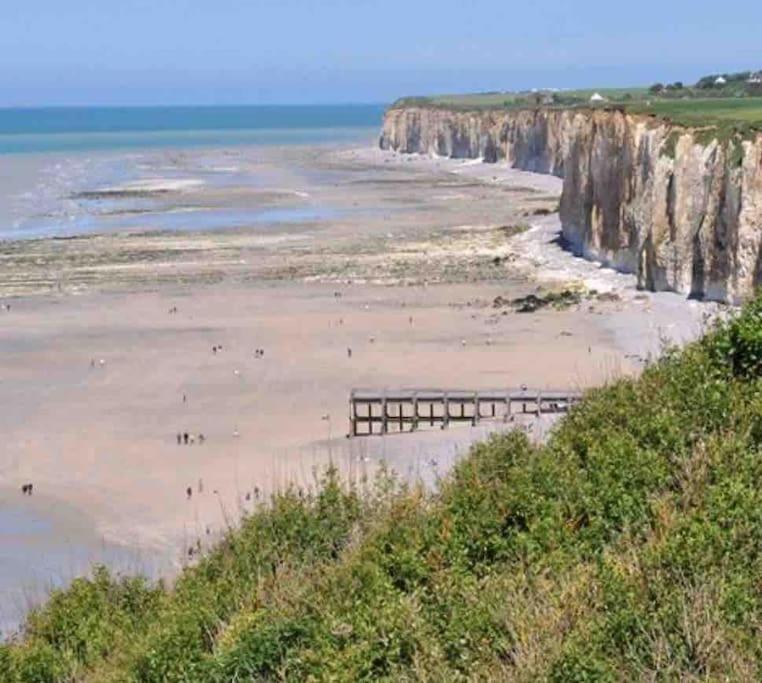 Superbe Appartement Entre Mer Et Ville Dieppe Exteriér fotografie
